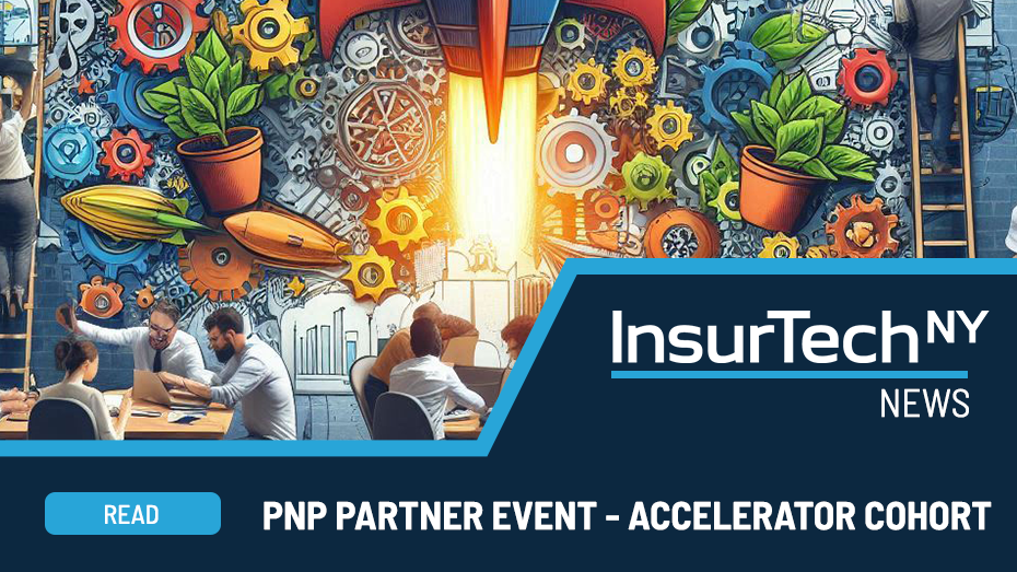 Accelerator Cohort - pnp Partnership